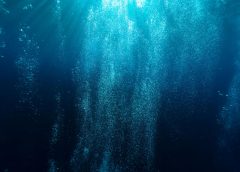 India to allegedly end offshore auctions