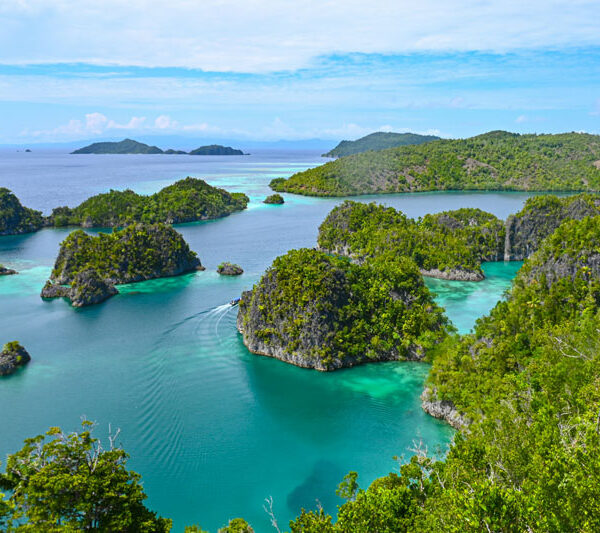 Indonesia revokes four nickel permits in Raja Ampat