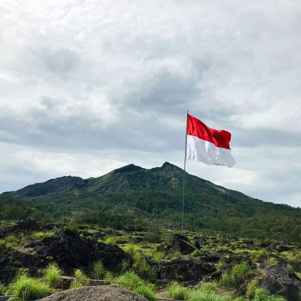 Indonesia creates new mineral industry agency