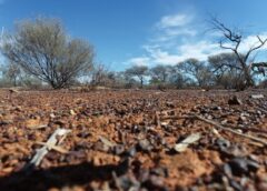 Capricorn Metals obtains Yalgoo project in Tempest deal