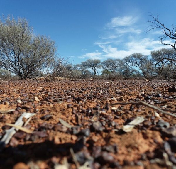 Capricorn Metals obtains Yalgoo project in Tempest deal