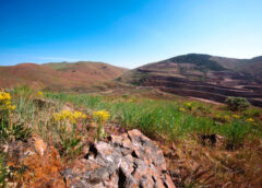 Newmont accuses Barrick of NGM mismanagement