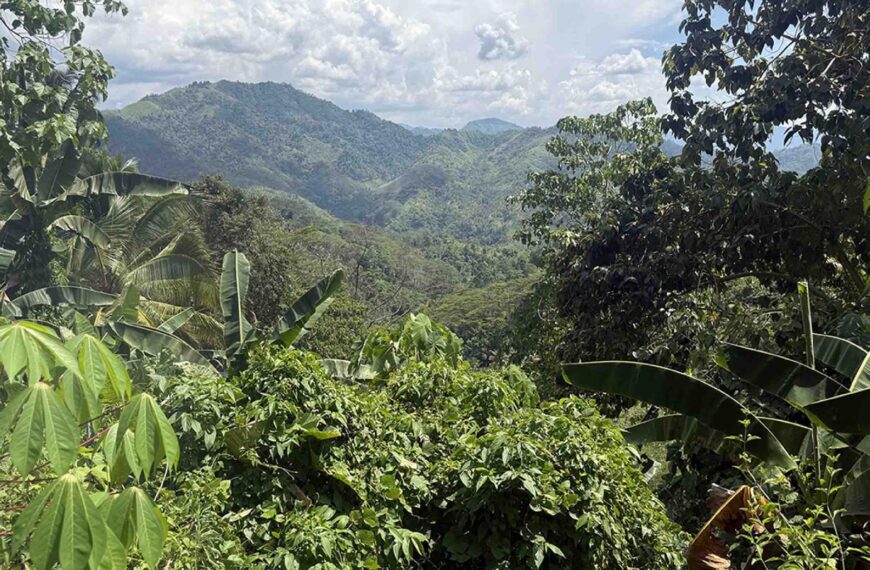 Stantec to lead Kingking project DFS