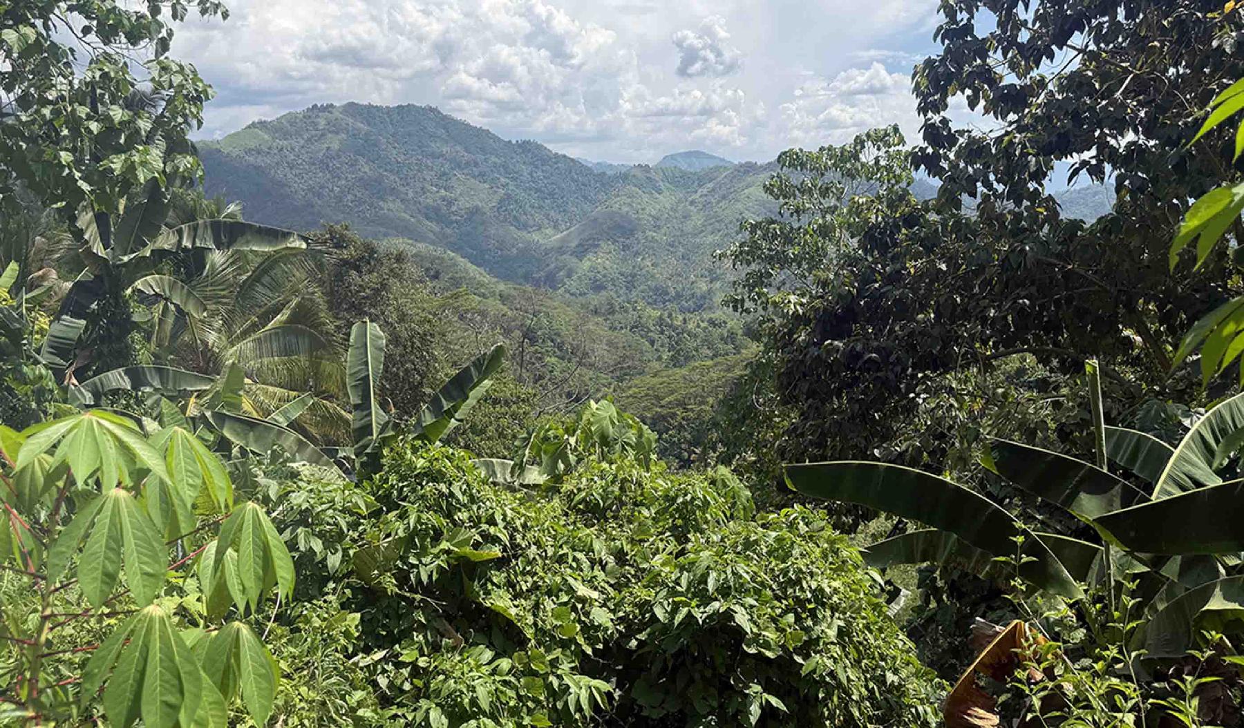 Stantec to lead Kingking project DFS