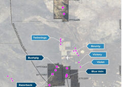 Meeka Metals gains tenements near Mt Holland