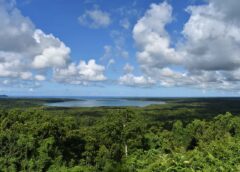 Woodlark definitive feasibility study released